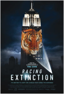Cover des Films Racing Extintion